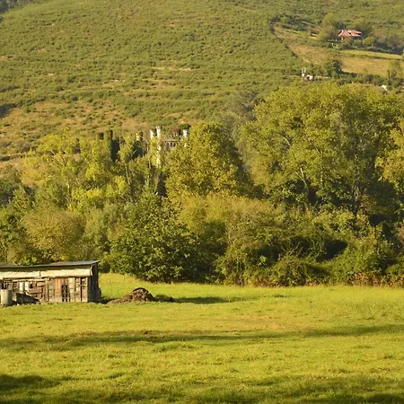 La Casa Azul De Caldas